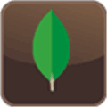 Mongodb Alternatives