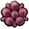Mulberry Alternatives