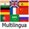 Multilingua Alternatives