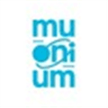 Muonium Alternatives