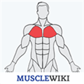 Musclewiki Alternatives