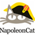 Napoleoncat Com Alternatives