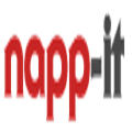 Napp it Alternatives