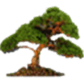 Natara Bonsai Alternatives