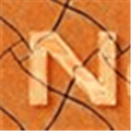 Net Policy Alternatives