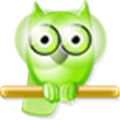 Netstat Agent Alternatives