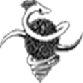 Netsukuku Alternatives