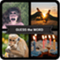 New Pics 1 Word Alternatives