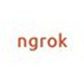 Ngrok Alternatives