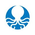 Octopus24 Alternatives