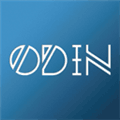 Odin Programming Language Alternatives