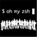 Oh My Zsh Alternatives
