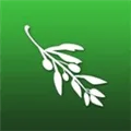 Olive Video Editor logo