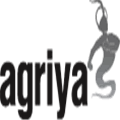 On Demand Taxi Booking Solution Alternatives