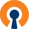 Openvpn Alternatives