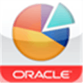 Oracle Business indicators Alternatives