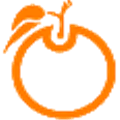 Orangescrum Alternatives