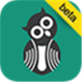 Owlet Alternatives