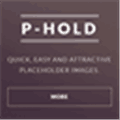P Hold Alternatives