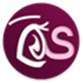 Pano Scrobbler Alternatives