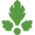 Parsely Alternatives