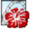 Patternshop Alternatives