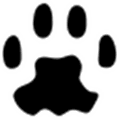 Paw Server Alternatives