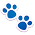 Paws For Trello Alternatives