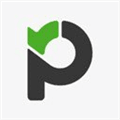 Paymo Alternatives