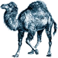 Perl Alternatives