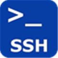 Persistent Ssh Alternatives