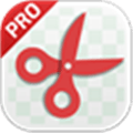 Photo Background Remover Alternatives