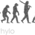Phylo Alternatives