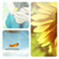 Picframe  Alternatives