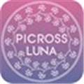 Picross Luna Alternatives