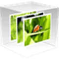 Pictomio Alternatives