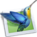 Picturestoexe Alternatives