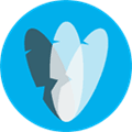 Pingendo Alternatives