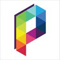 Pingpad Alternatives