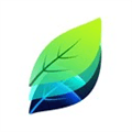 Plant identification Alternatives