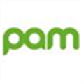 Platform For Achieving More  Pam  Alternatives