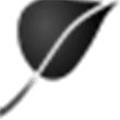 Pluxml Alternatives