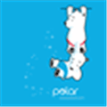 Polar Polls Alternatives