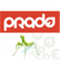 Prado Alternatives