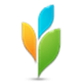 Projecturf Alternatives
