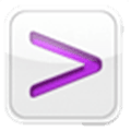 Prompt Alternatives
