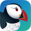 Puffin Secure Browser Alternatives