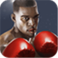 Punch Boxing 3D Alternatives