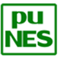 Punes Alternatives