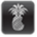 Pwnagetool Alternatives